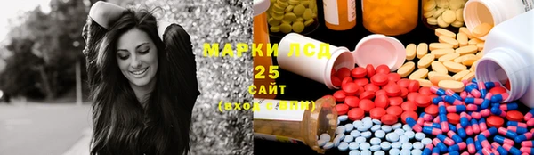 spice Сосновый Бор