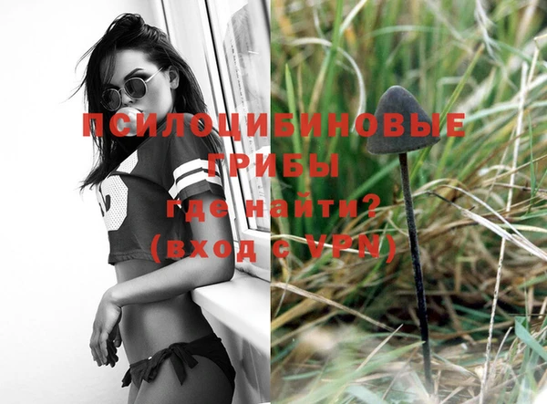 2c-b Абдулино