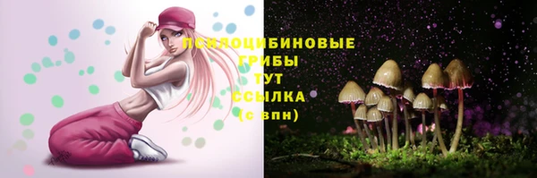 apvp Сосновка