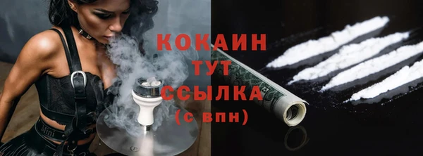 сатива Сосновоборск