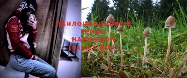 spice Сосновый Бор
