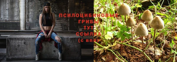 прущие грибы Бронницы