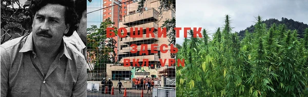 apvp Сосновка