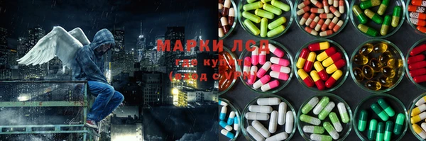 сатива Сосновоборск