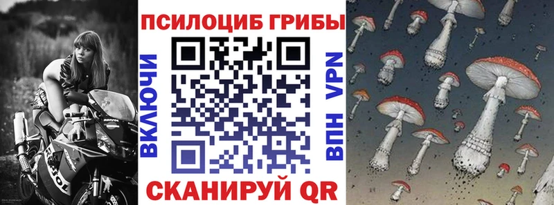 Галлюциногенные грибы мухоморы как найти наркотики Сочи