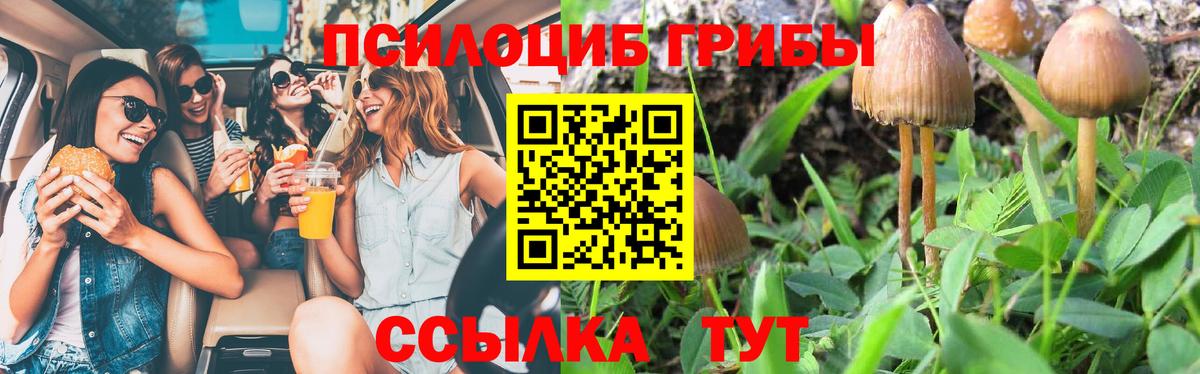 где найти   Вход с VPN  Сочи  Псилоцибиновые грибы GOLDEN TEACHER 